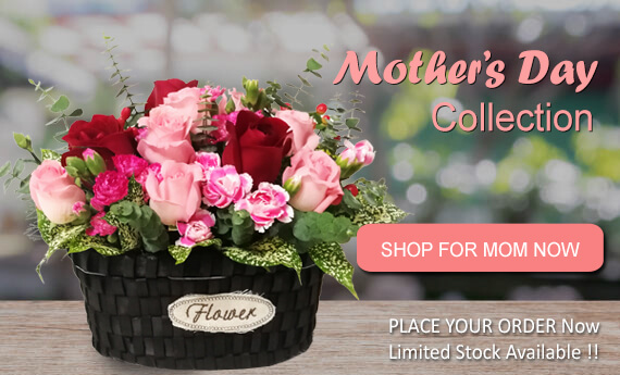 Malaysia Mother's Day Flowers | Send Mother's Day Flowers to Malaysia | Mother's Day Flowers Collection