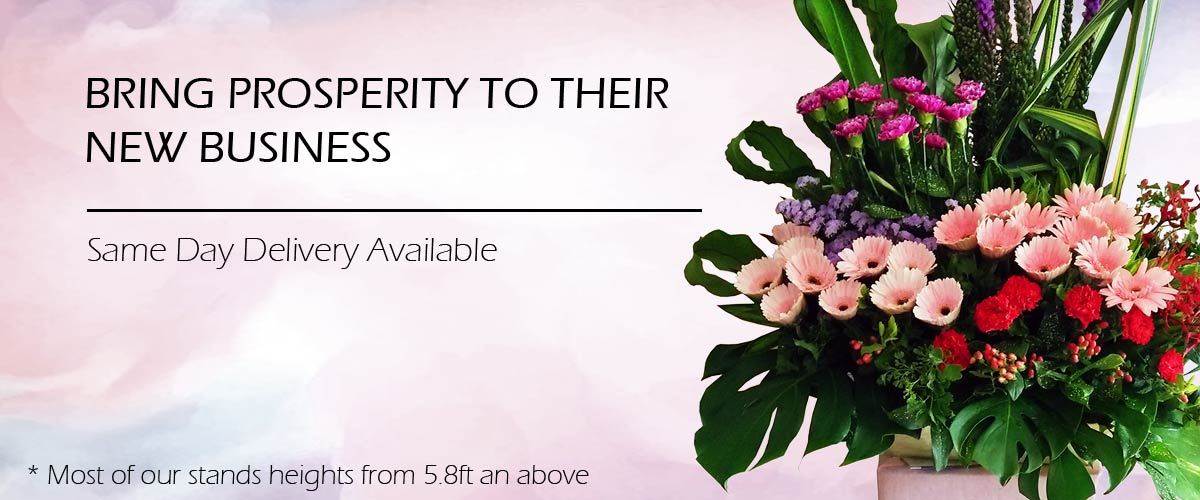 Opening Flower Stand Malaysia Best Flower Site