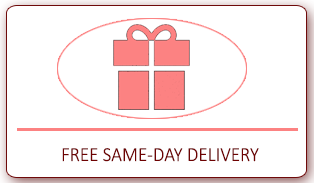 Free Same-Day Delivery