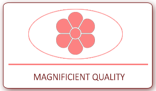 Magnificient Quality