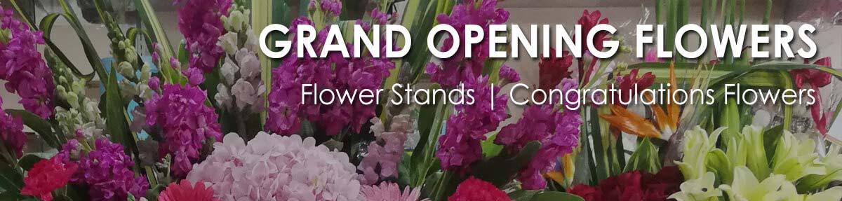 Grand Opening Flower Stands | Congratulations Flowers