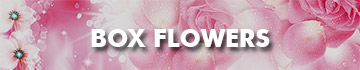 Send Box Flowers To Malaysia