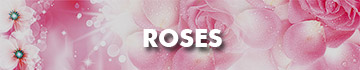 Send Roses To Malaysia