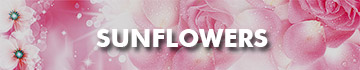 Send Sunflowers To Malaysia