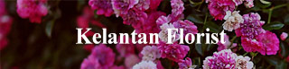 Kelantan Florist