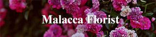 Malacca Florist Malacca Florist