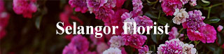 Selangor Florist