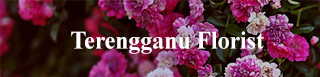 Terenggnu Florist