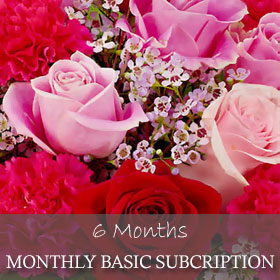 Monthly Basic Subscription (6 Months)