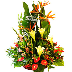 Mix Flowers