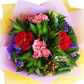 Carnations