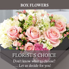 Box Flowers